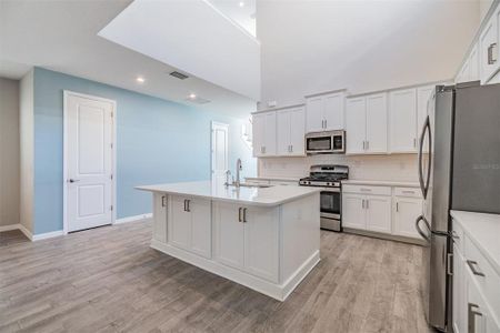 New construction Single-Family house 13614 Stevenson Ln, Odessa, FL 33556 null- photo 13 13