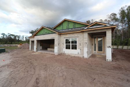 New construction Single-Family house 20339 Oriana Loop, Land O' Lakes, FL 34638 Newport II- photo 28 28