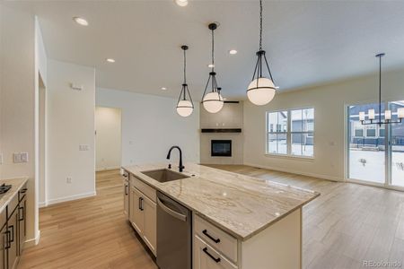 New construction Single-Family house 8942 S Riviera Wy, Aurora, CO 80016 plan C452 - image 8