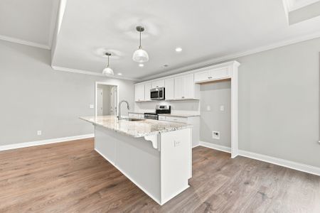 New construction Single-Family house 2325 Rhinestone Dr, Winterville, NC 28590 plan Ivy - image 7
