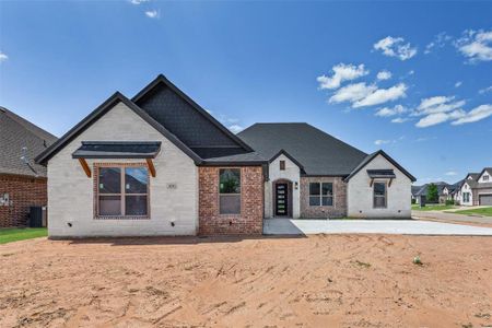 New construction Single-Family house 1041 Mickelson Dr, Granbury, TX 76048 - image