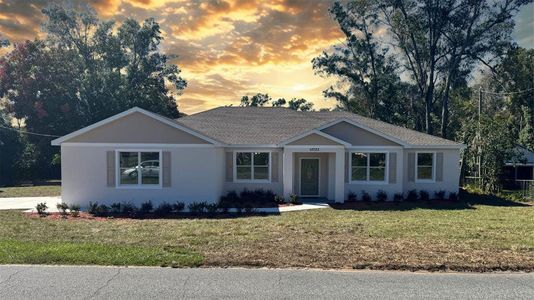 New construction Single-Family house 13733 10Th St, Dade City, FL 33525 - image