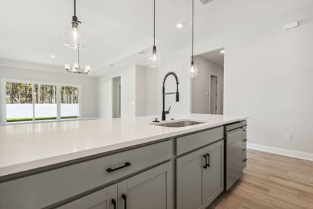 New construction Single-Family house 14224 Lons Pl, Jacksonville, FL 32226 plan Albatera II - image 7