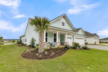 New construction Single-Family house 753 Spring Highlands Dr, Summerville, SC 29486 - image