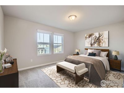 New construction Single-Family house 6014 Windy Willow Dr Ft, Fort Collins, CO 80528 null- photo 8 8