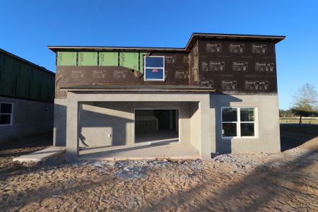 New construction Single-Family house 38350 Tobiano Loop, Dade City, FL 33525 Cabo- photo 44 44