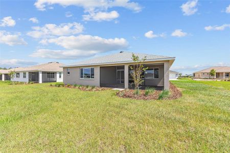 New construction Single-Family house 10977 Sw 101St Lp, Ocala, FL 34481 null- photo 6 6