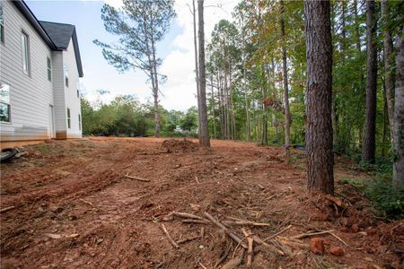 New construction Single-Family house 30 Daisy Lane, Villa Rica, GA 30180 - photo 15 15