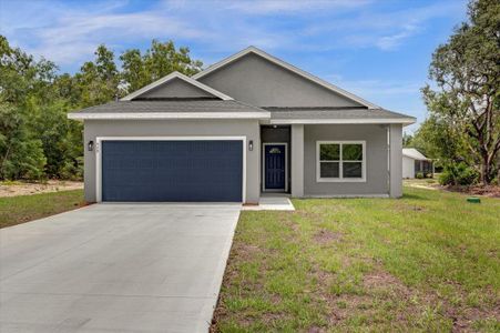 New construction Single-Family house 95 Malauka Place Track, Ocklawaha, FL 32179 - photo 0