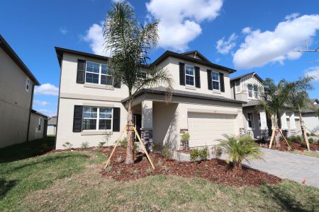 New construction Single-Family house 4877 Foxglove Cir, Lakeland, FL 33811 Alenza- photo 135 135