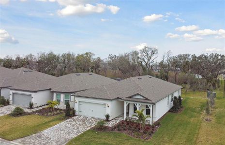 New construction Single-Family house 9305 Barnacle Ln, Parrish, FL 34219 Mystique- photo 35 35