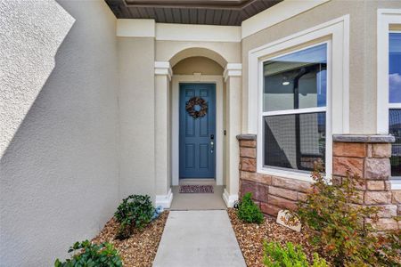 New construction Single-Family house 8644 Sw 59Th Lane Rd, Ocala, FL 34481 - image 3