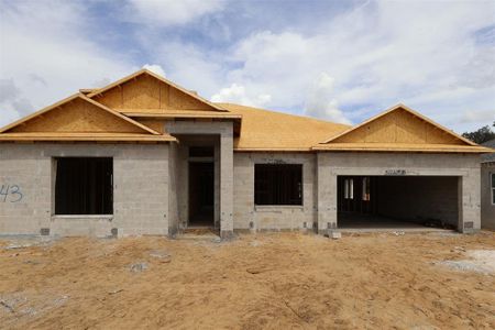 New construction Single-Family house 705 Pointe Emerson Blvd, Apopka, FL 32703 plan Corina Xl - Eco Grand Series - image