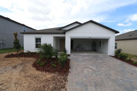 New construction Single-Family house 12193 Hilltop Farms Dr, Dade City, FL 33525 Sentinel- photo 47 47