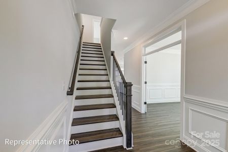 New construction Single-Family house 5104 Heathland Dr, Unit 73, Charlotte, NC 28215 Cypress - photo 29 29