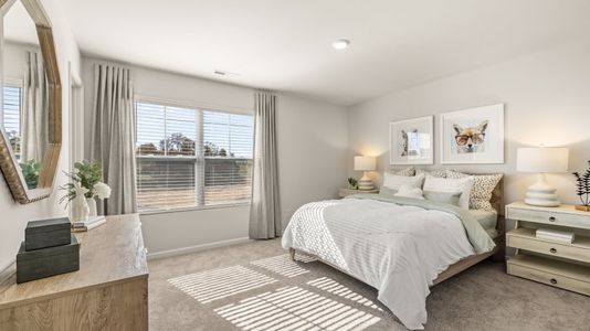 Farmhouse Downs: Cambridge Collection 22