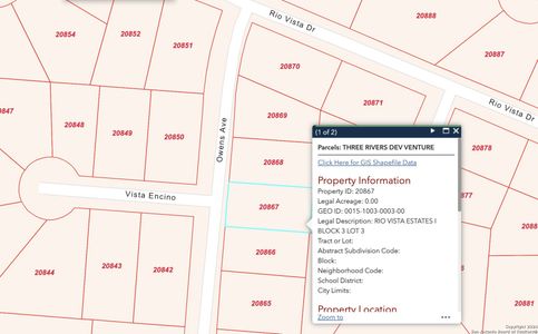 New construction Single-Family house 2100 Owens Ave, Three Rivers, TX 78071 - image 17
