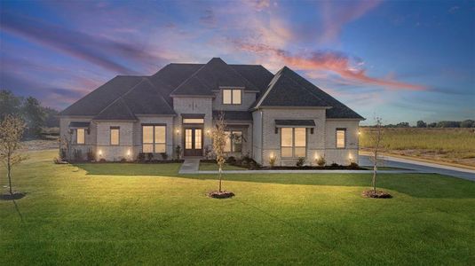 New construction Single-Family house 117 Lila Lake Dr, Waxahachie, TX 75165 - image