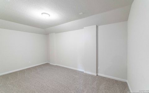 New construction Single-Family house 13032 Hush Dr, San Antonio, TX 78245 Dakota- photo 15 15