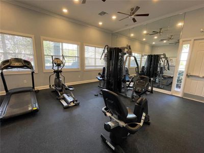New construction Single-Family house 2296 Sirena Ln, Mount Dora, FL 32757 null- photo 9 9