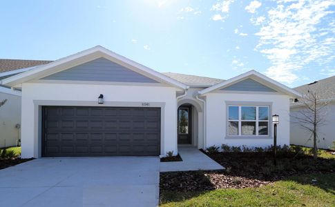 New construction Single-Family house 11313 Hardwood Hammock Ln, Riverview, FL 33569 null- photo 3 3