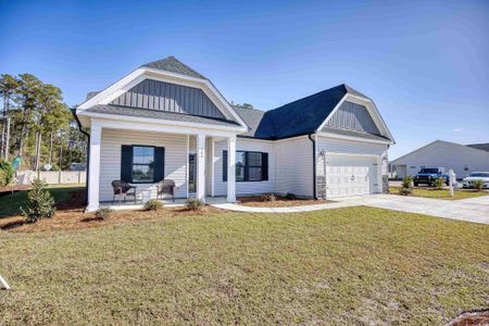 New construction Single-Family house 1232 Mill Banks Dr, Unit 43, Longs, SC 29568 - image