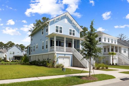 New construction Single-Family house 405 Blowing Fresh Dr, Charleston, SC 29492 - image