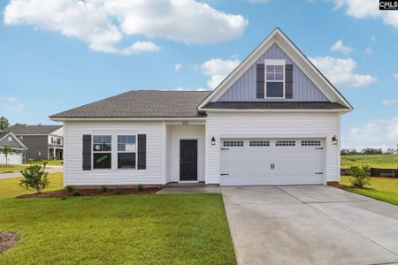 New construction Single-Family house 203 Ruby Prince Wy, Lexington, SC 29073 plan Julie II - image