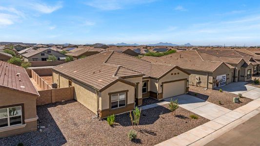 New construction Single-Family house 10177 N Black Dalea Dr, Marana, AZ 85653 plan Pearl - image