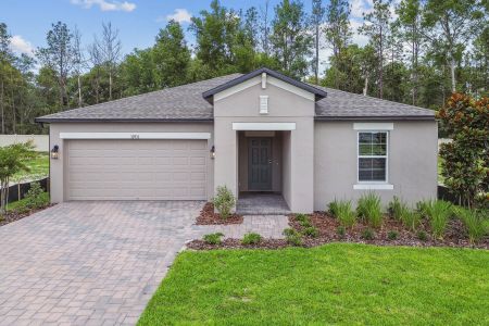 New construction Single-Family house 12931 Castle Oaks Dr, Hudson, FL 34669 plan Baja - image
