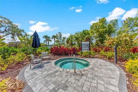 New construction Single-Family house 15113 Shady Palms Ln, Nokomis, FL 34275 - image