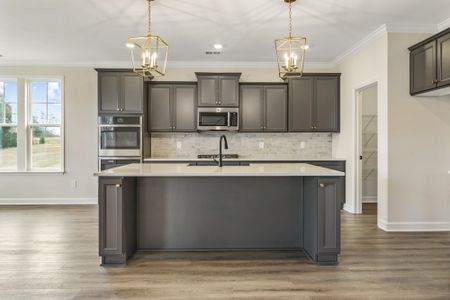 New construction Single-Family house 3140 Midway Rd, Anderson, SC 29621 plan Roanoke - image 9