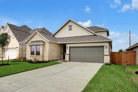 Sunterra 40' & 50' by Tricoast Homes in Katy - photo 11 11