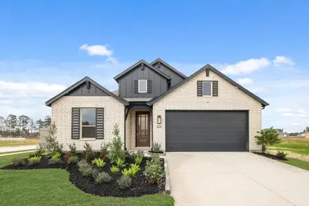 New construction Single-Family house 16642 Jolie St, Conroe, TX 77302 plan VanGogh Plan - image