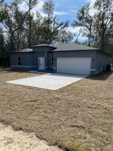 New construction Single-Family house 13542 Sw 114Th Pl, Dunnellon, FL 34432 - image