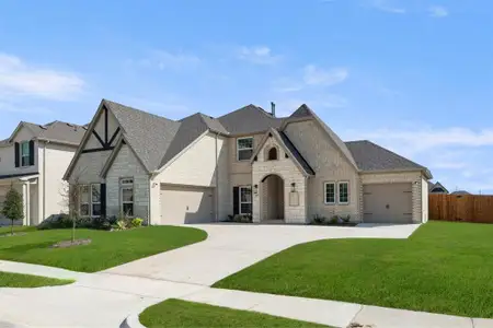 New construction Single-Family house 329 Aeronca Dr, Rockwall, TX 75087 plan Birchwood 2FSW (w/Media) - image