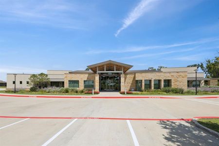 New construction Single-Family house 401 Long Pines Dr, McKinney, TX 75071 - image