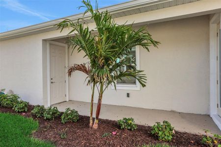 New construction Single-Family house 9031 Duany Ln, Sarasota, FL 34240 Haven- photo 27 27