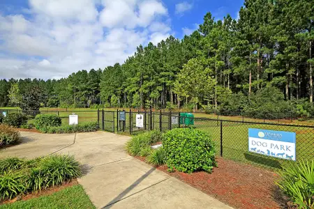 New construction Single-Family house 511 Verdi Dr, Summerville, SC 29486 HENNINGER- photo 59 59