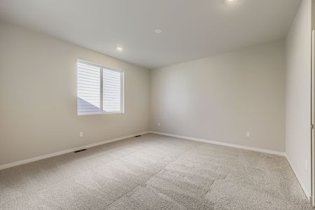 New construction Single-Family house 13763 Daffodil Wy, Parker, CO 80108 plan Silverthorne - image 17