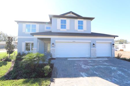 New construction Single-Family house 20288 Oriana Loop, Land O' Lakes, FL 34638 Coronado II- photo 98 98