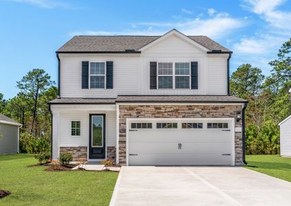 New construction Single-Family house 26 Hibiscus Dr, Hampstead, NC 28443 plan Avery - image