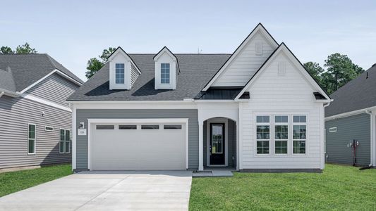 New construction Single-Family house 212 Lazy Day Lane, Summerville, SC 29486 - photo 0