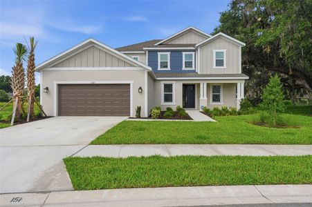 New construction Single-Family house 3321 Lumber Falls Dr, Plant City, FL 33565 - image