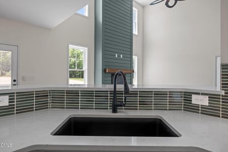 New construction Single-Family house 173 Little Lady Trl, Zebulon, NC 27597 - image 10