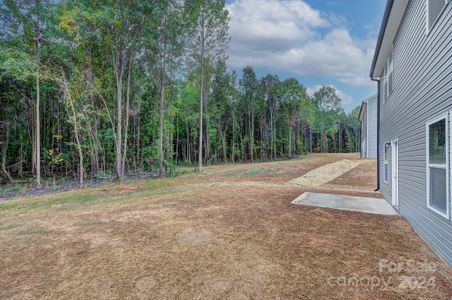 New construction Single-Family house 245 Robinson Clemmer Road, Dallas, NC 28034 - photo 25 25