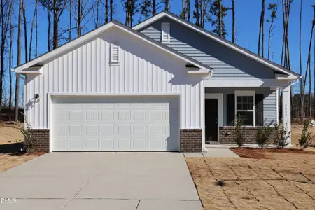 New construction Single-Family house 1345 Pond Overlook Dr, Nashville, NC 27856 - image