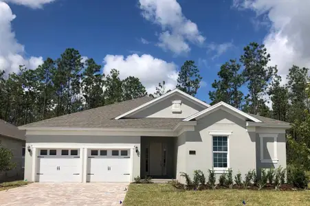 New construction Single-Family house 14377 Crest Palm Ave, Windermere, FL 34786 plan Tidewater - image