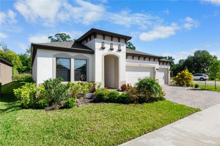 New construction Single-Family house 12960 Twin Bridges Drive, Riverview, FL 33579 - photo 0