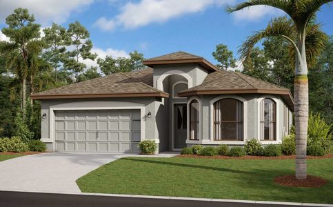 Rose Haven by Vitale Homes in New Port Richey - photo 14 14